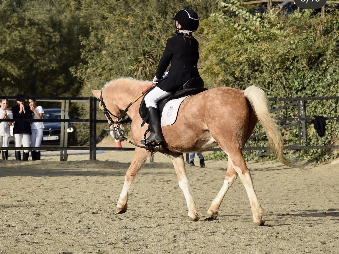 Amazona infantil con su poni en un concurso social del Club Hípico Vallromanes